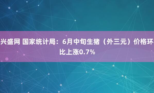 兴盛网 国家统计局：6月中旬生猪（外三元）价格环比上涨0.7%
