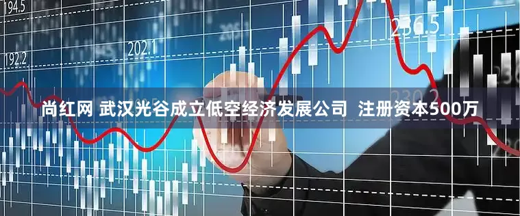 尚红网 武汉光谷成立低空经济发展公司  注册资本500万