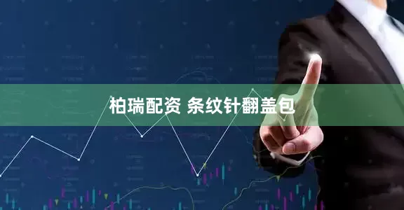 柏瑞配资 条纹针翻盖包