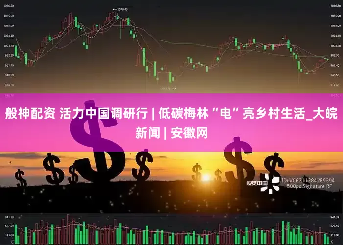 般神配资 活力中国调研行 | 低碳梅林“电”亮乡村生活_大皖新闻 | 安徽网
