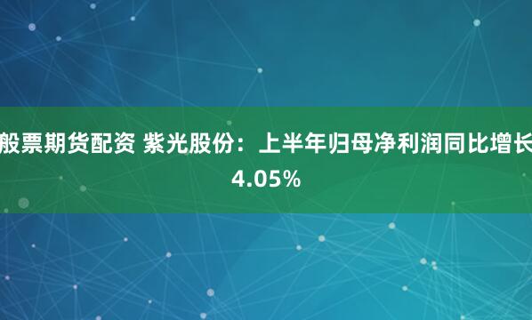 般票期货配资 紫光股份：上半年归母净利润同比增长4.05%