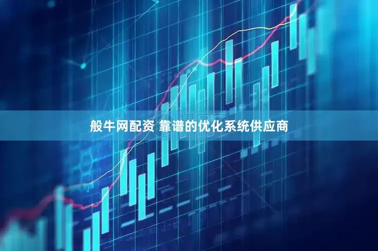 般牛网配资 靠谱的优化系统供应商