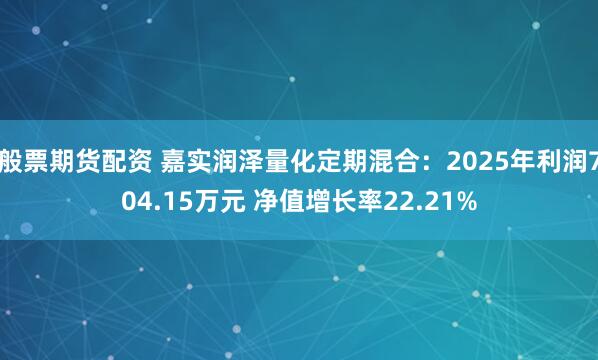 般票期货配资 嘉实润泽量化定期混合：2025年利润704.15万元 净值增长率22.21%